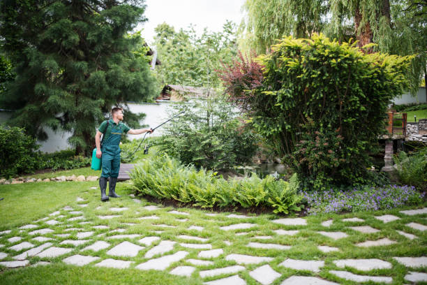 Trusted Springfield, KY Pest Control Experts