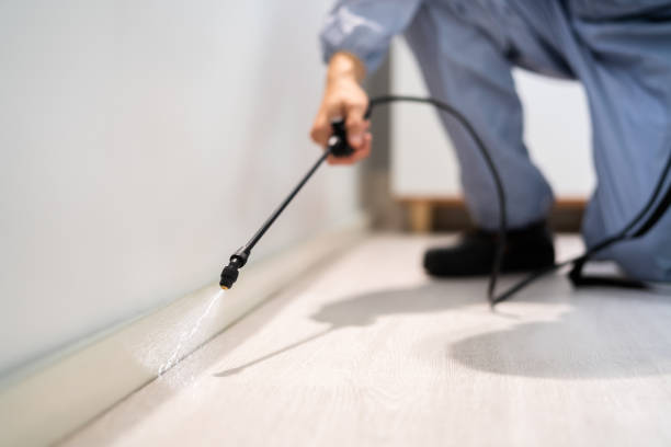 Best Emergency Pest Control  in Springfield, KY