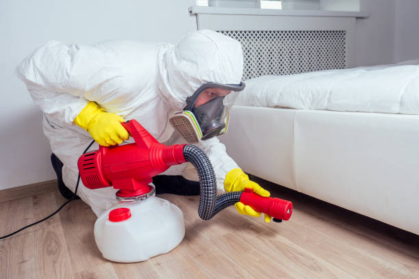 Best Rat Extermination Near Me  in Springfield, KY