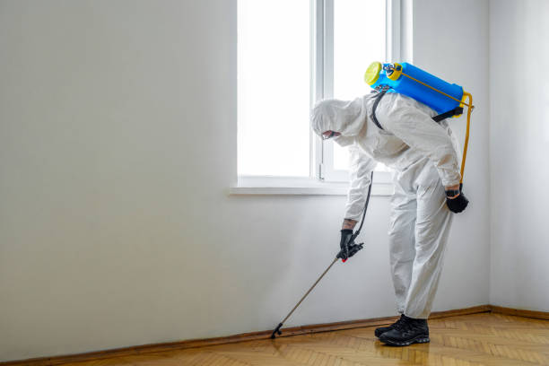  Springfield, KY Pest Control Pros